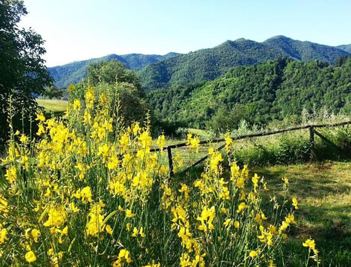 Agriturismo Selvapiana Cantagallo Buitenkant foto