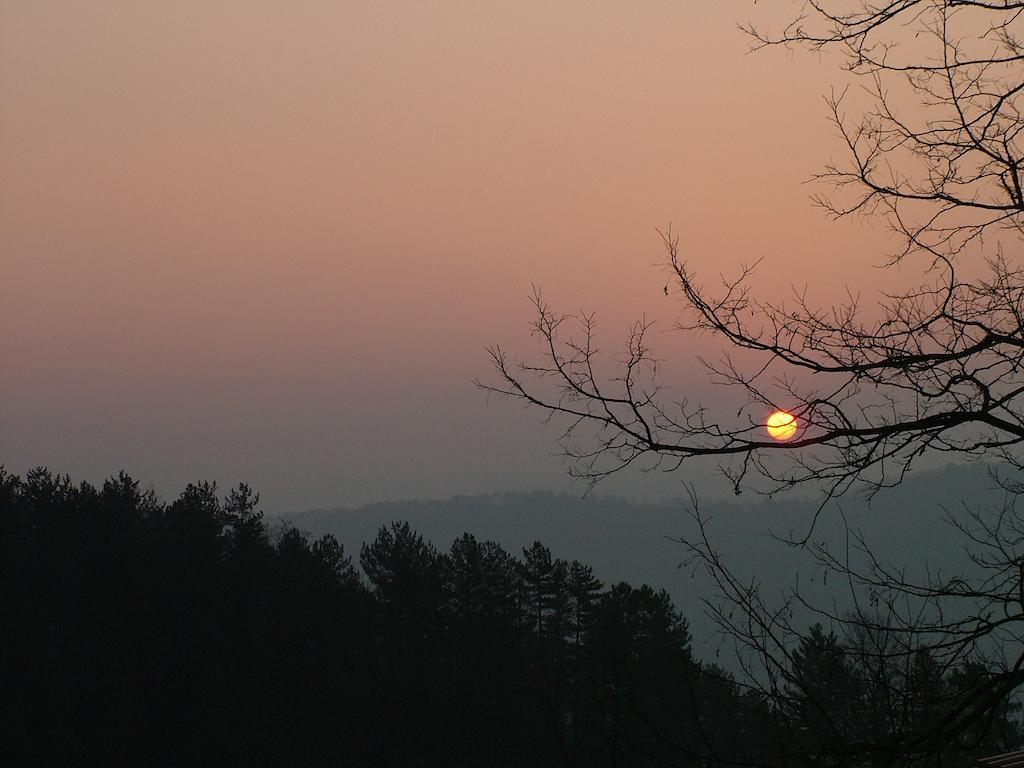 Agriturismo Selvapiana Cantagallo Buitenkant foto